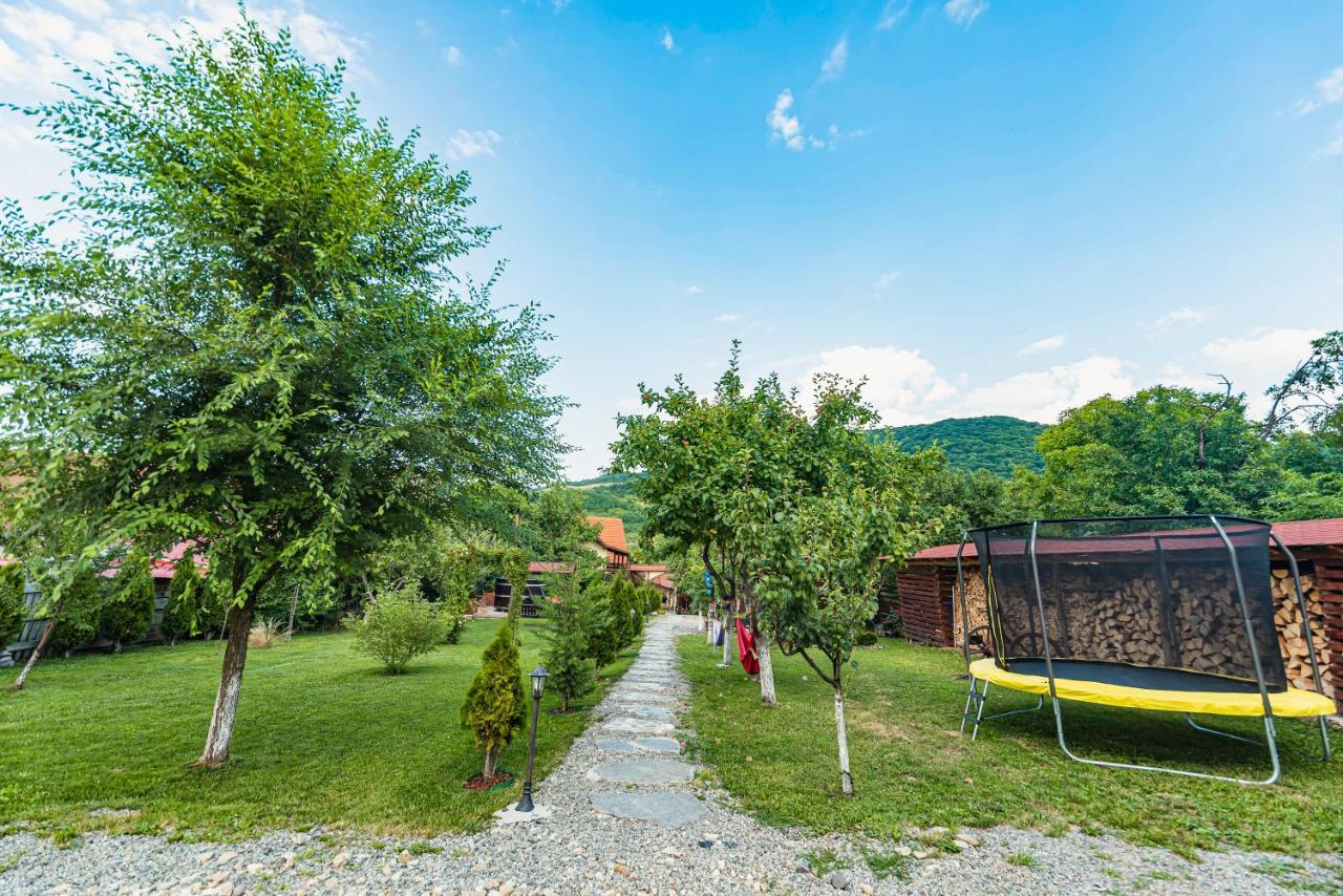 Casa Dives - Transylvania Pianu de Sus Exterior photo